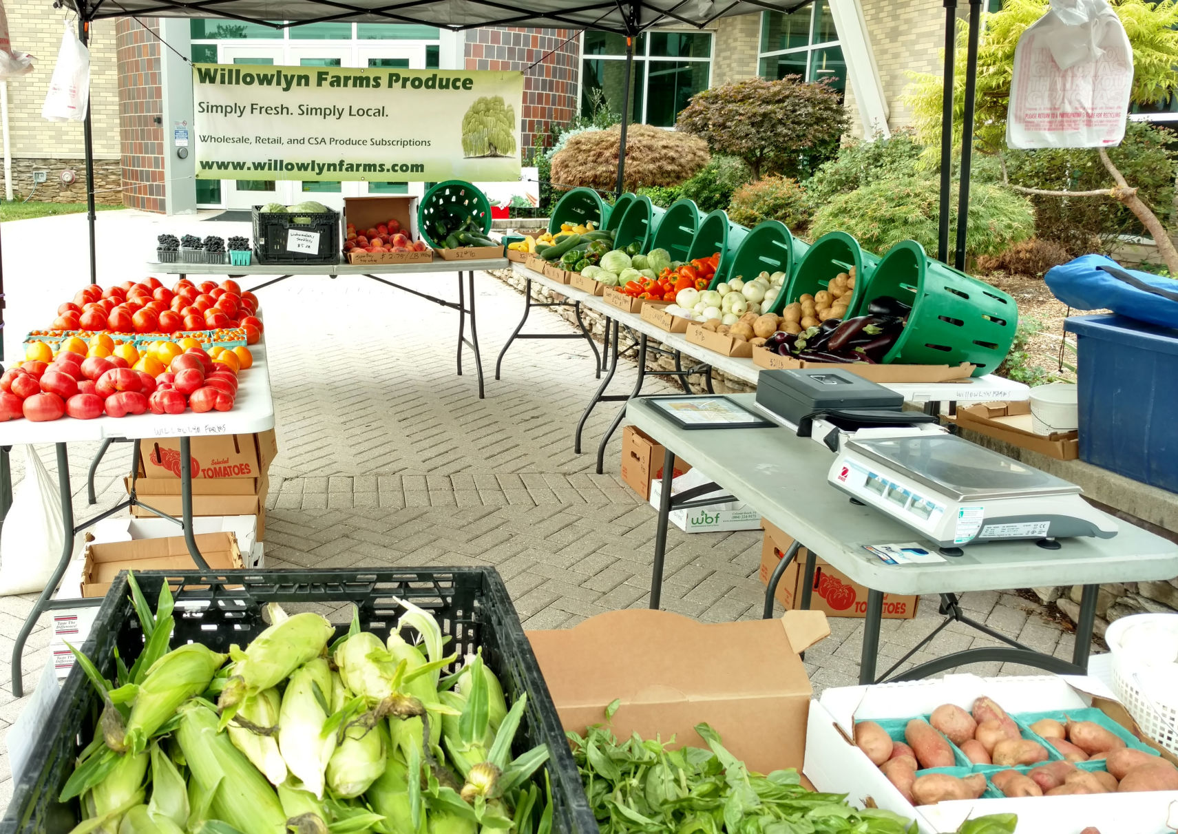 Photo_ft_news_wednesday market_Wednesday_0410_2019.jpg